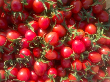 Ref – freshplaza.com